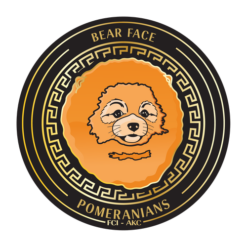 Frensace Pomeranian 